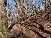 In Canto Alto da Cler di Sedrina-2apr24  - FOTOGALLERY